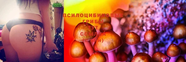 спайс Абдулино