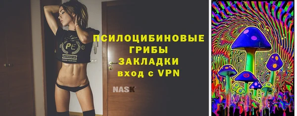 mdma Няндома